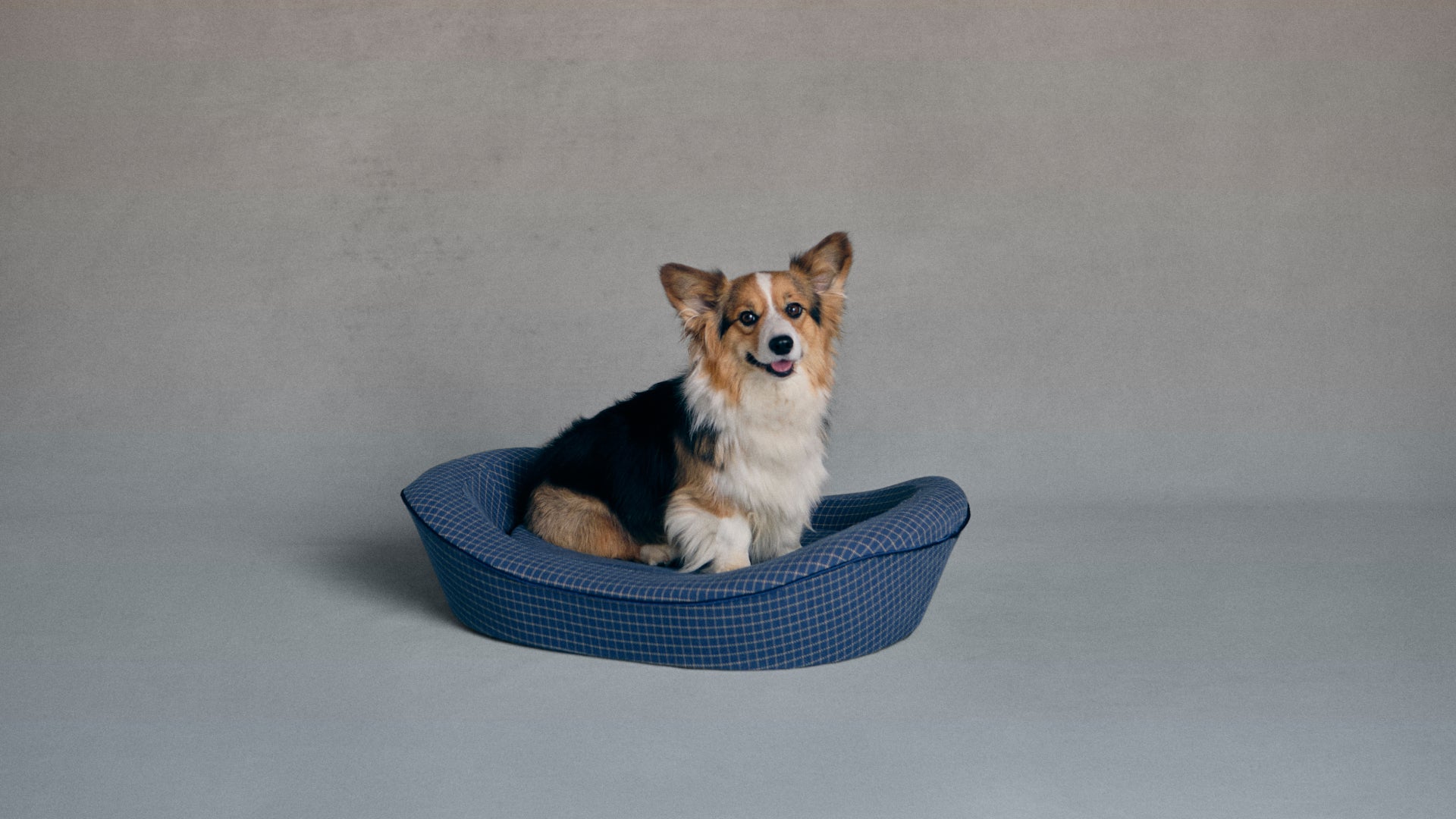 Blue Check Dog Bed Medium