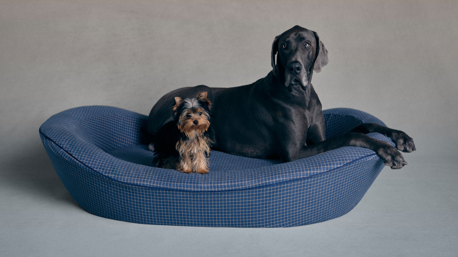 Blue Check Dog Bed 2XL Two Dogs