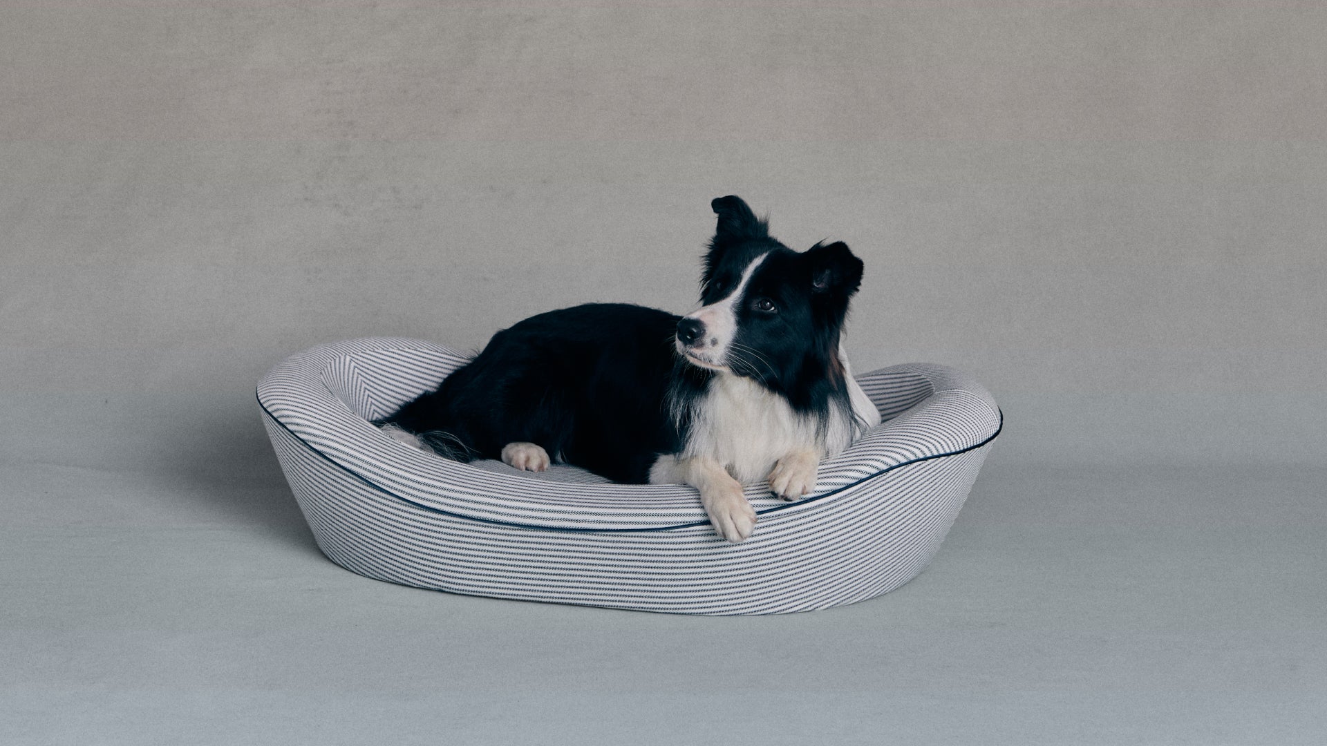 Blue Ticking Stripe Dog Bed Large