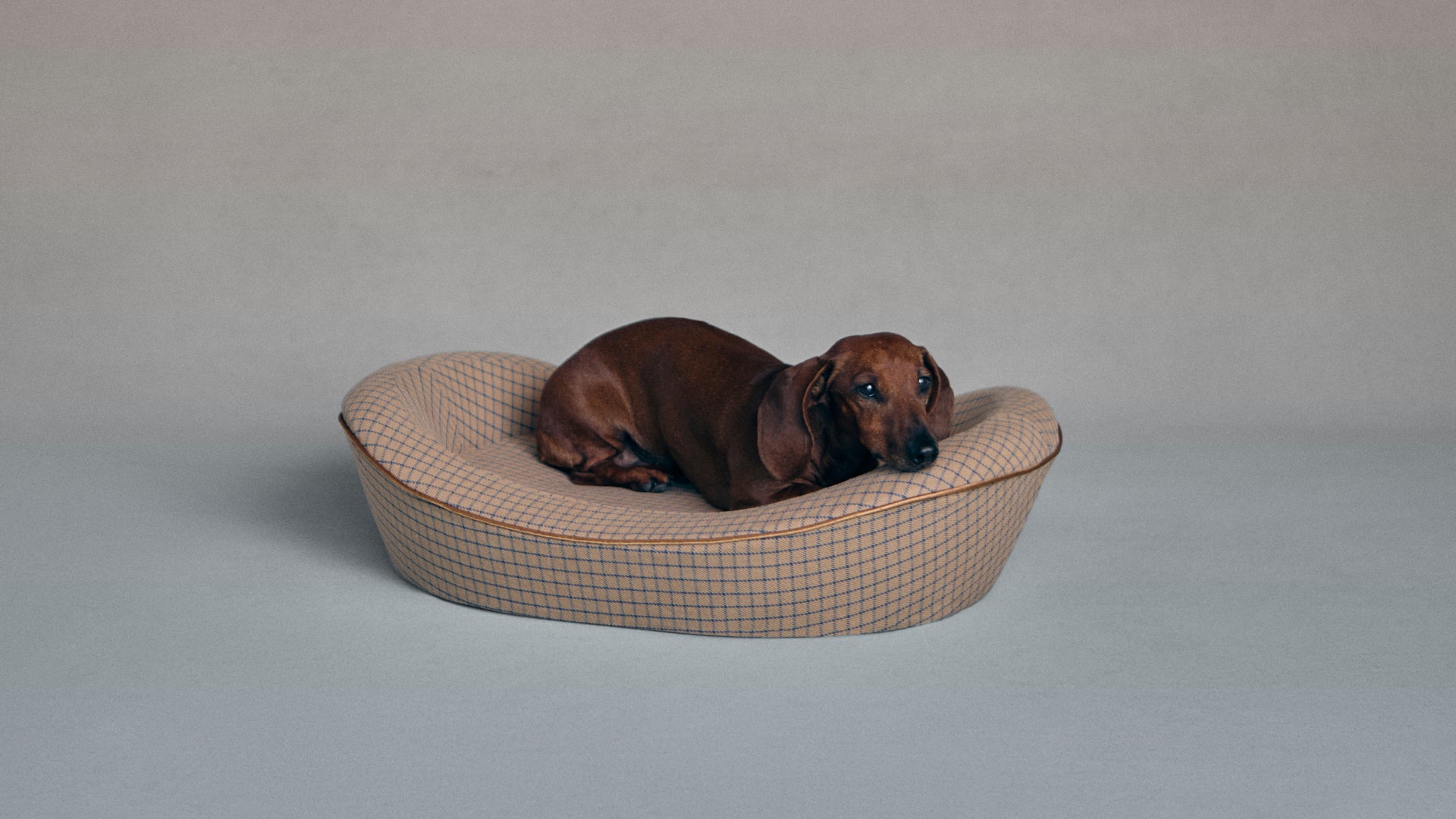 Brown Check Dog Bed Small