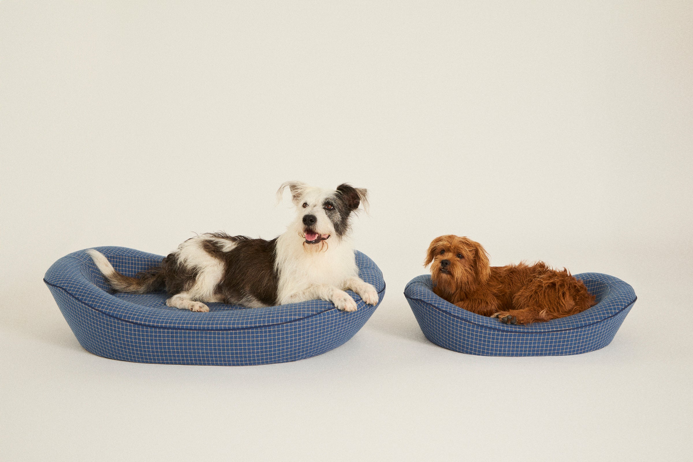Blue Small and Large Dog Beds with two dogs laying in them