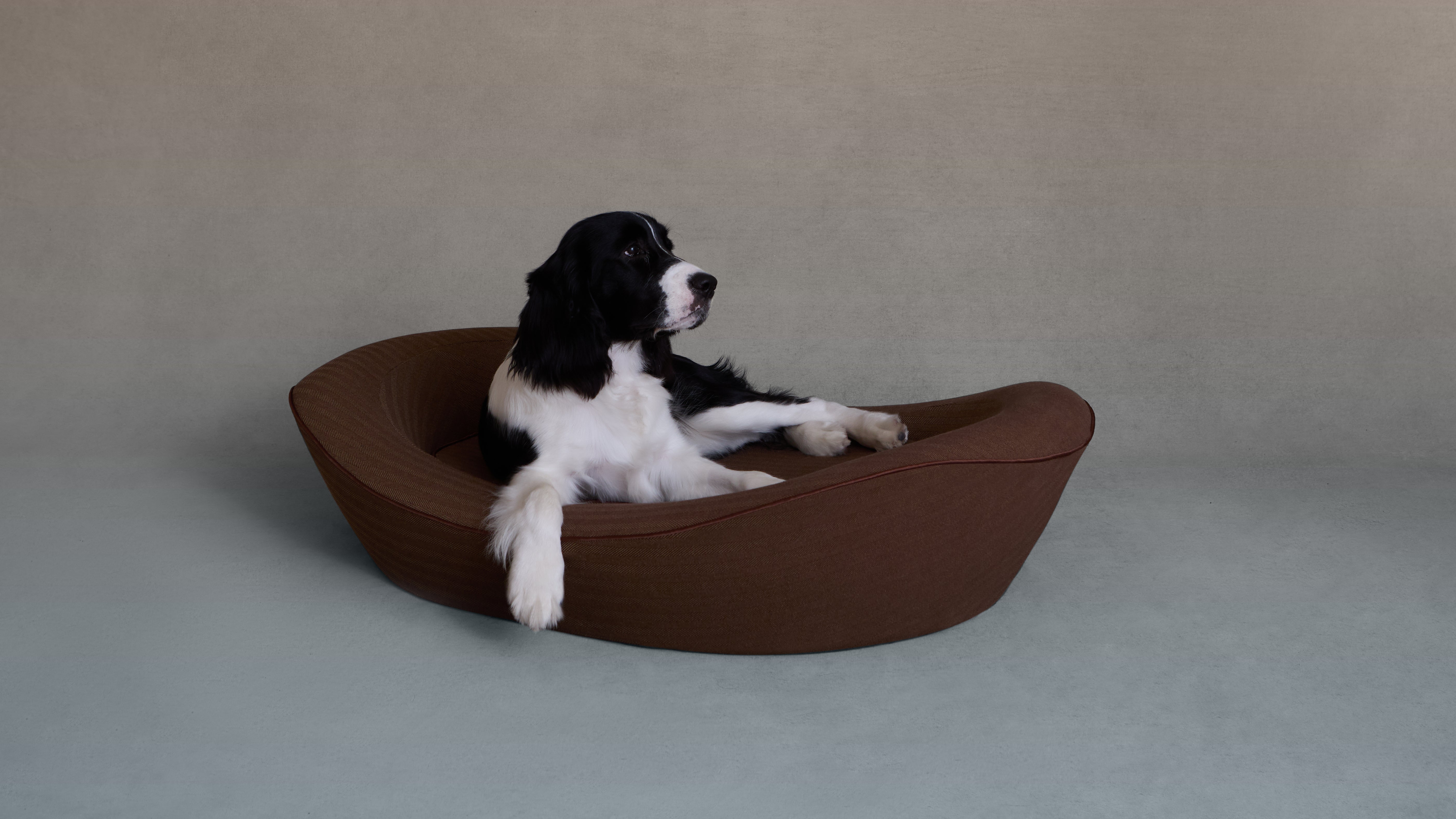 Brown Herringbone Dog Bed with Large Dog