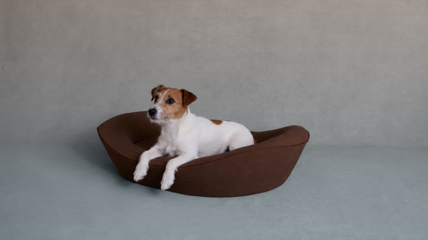 Brown Herringbone Dog Bed with Small Dog