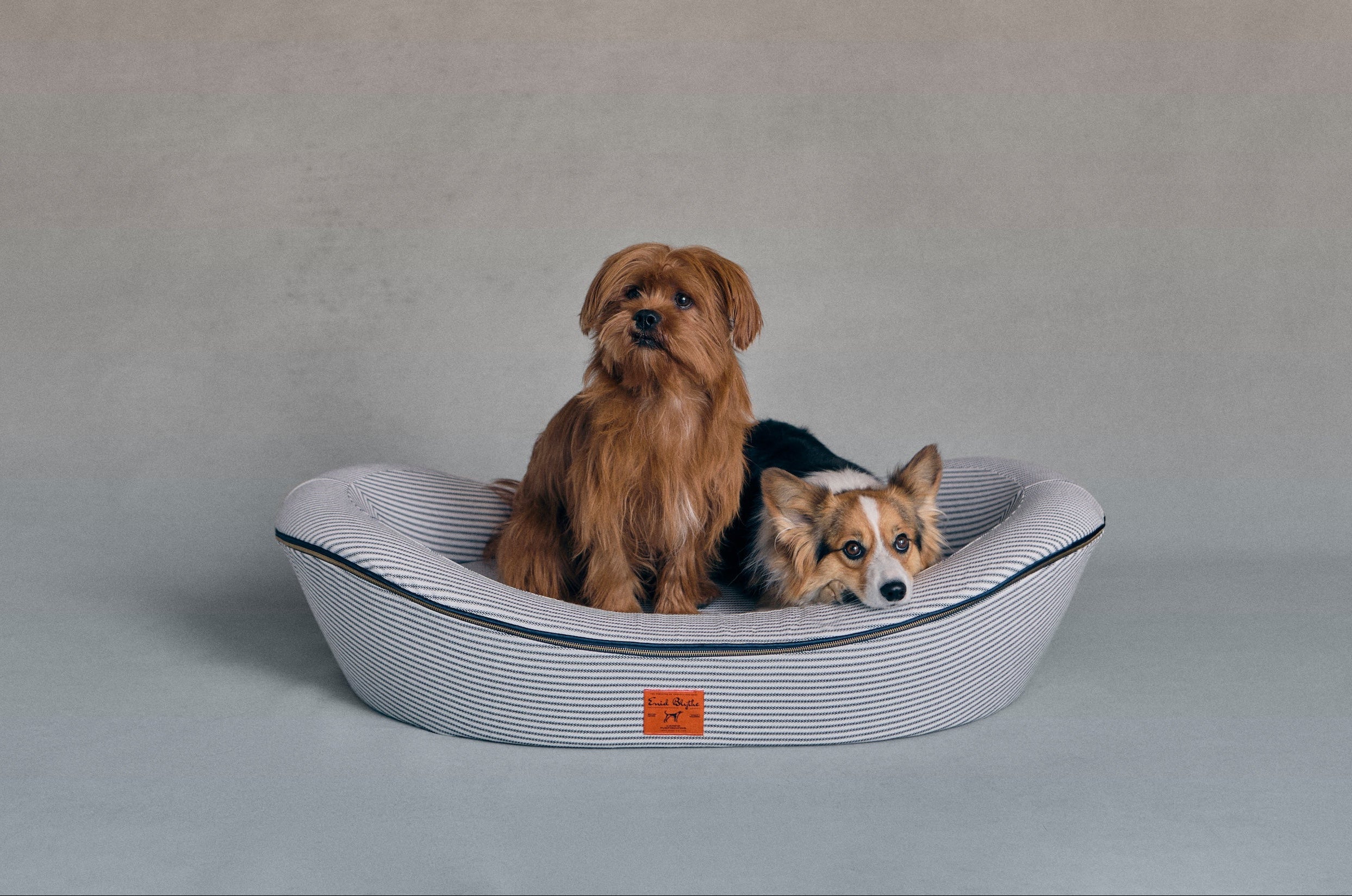 Striped Dog Bed with an orthopedic base and two dogs resting in it