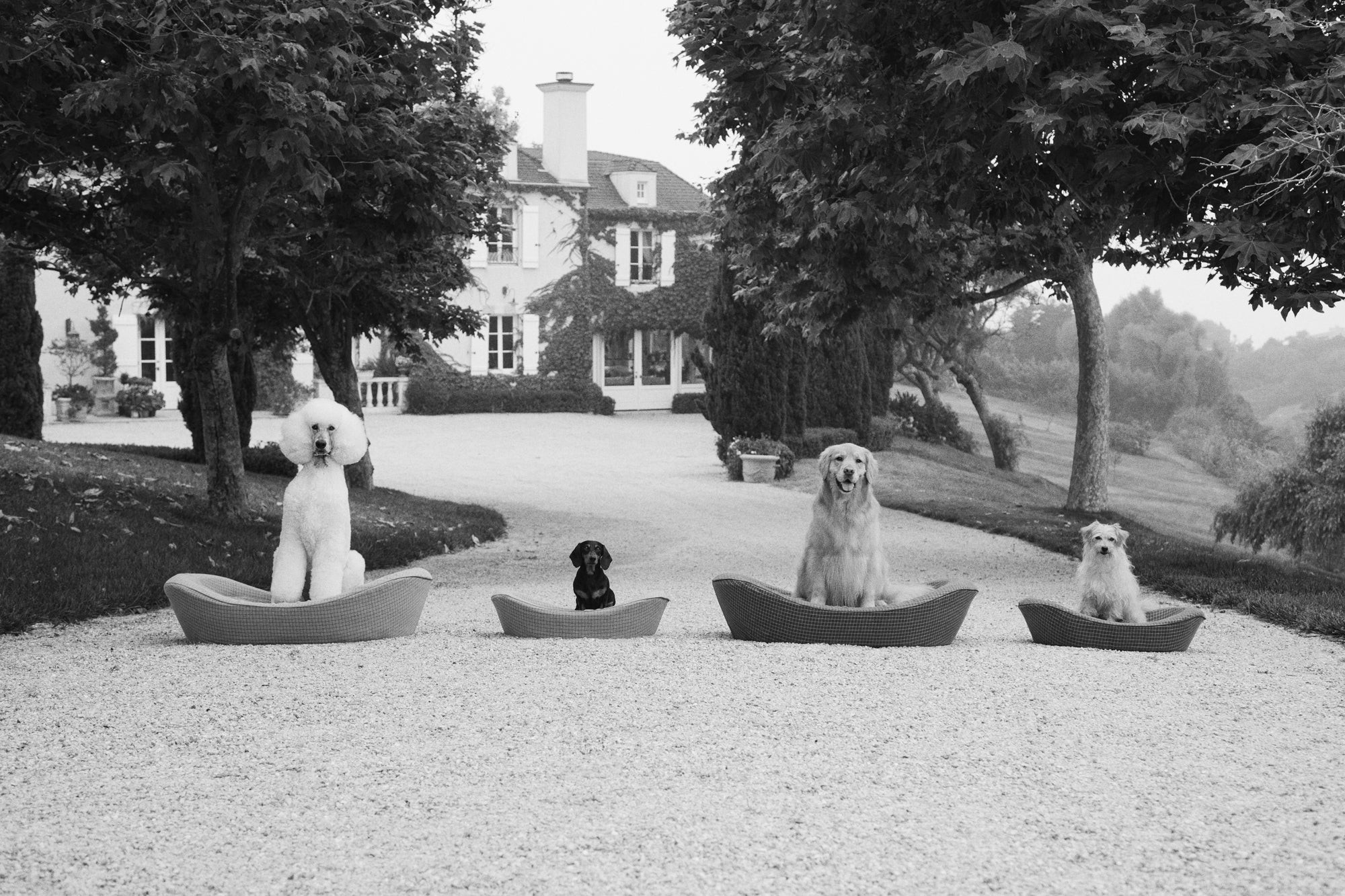 Small to Extra Large Dog Beds with dogs in them in front of a manor house
