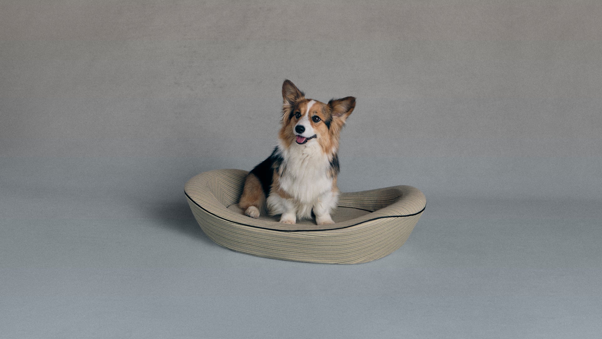 Grey Stripe Dog Bed Medium