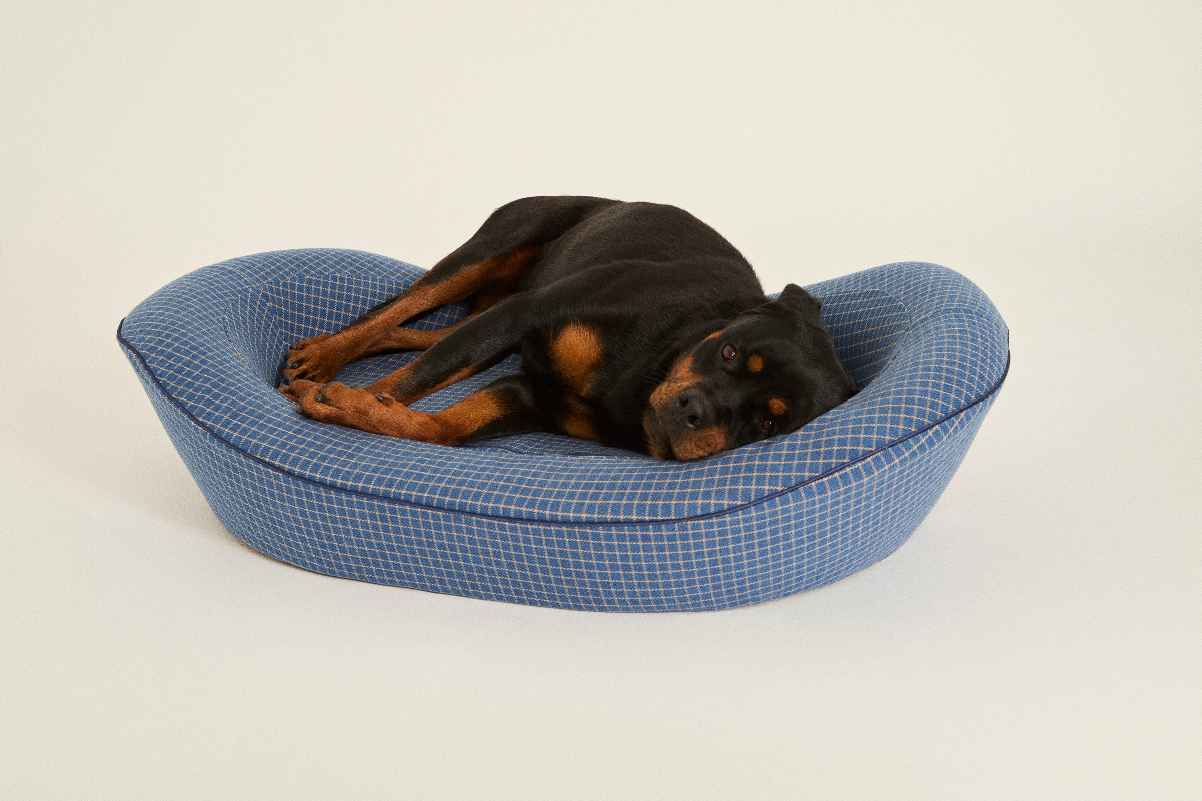 Stylish Large Dog Bed in blue with a Rottweiler laying in it