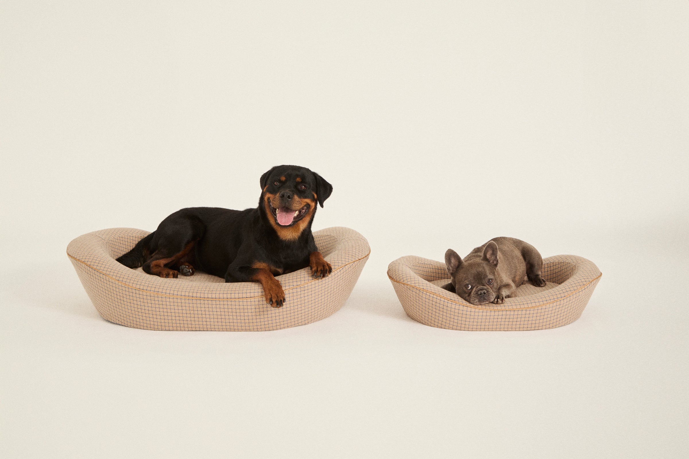 Brown Large and Small Dog Beds with a Rottweiler and French Bulldog in them