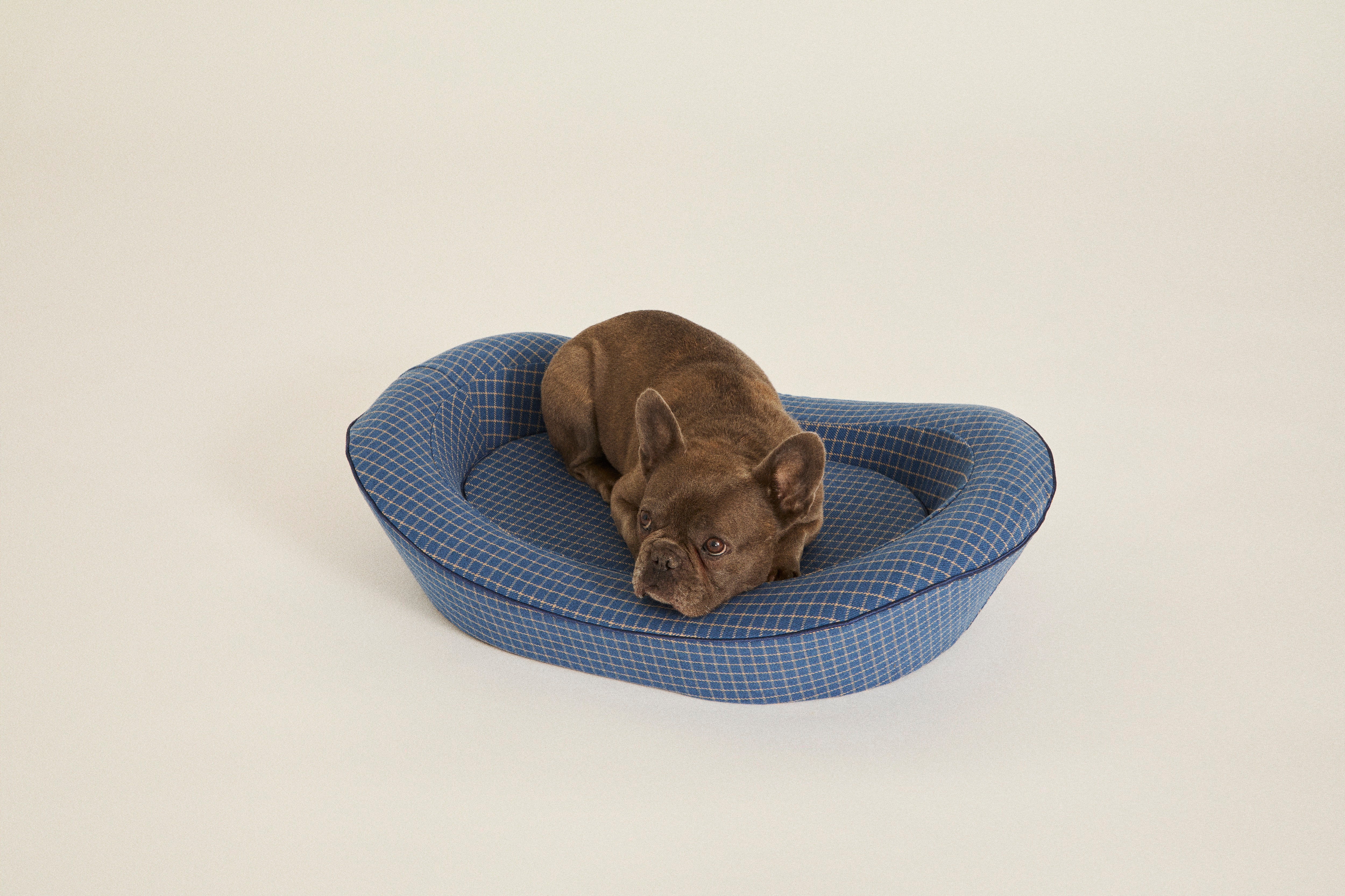 Small Blue Luxury Dog Bed with a French Bulldog in it