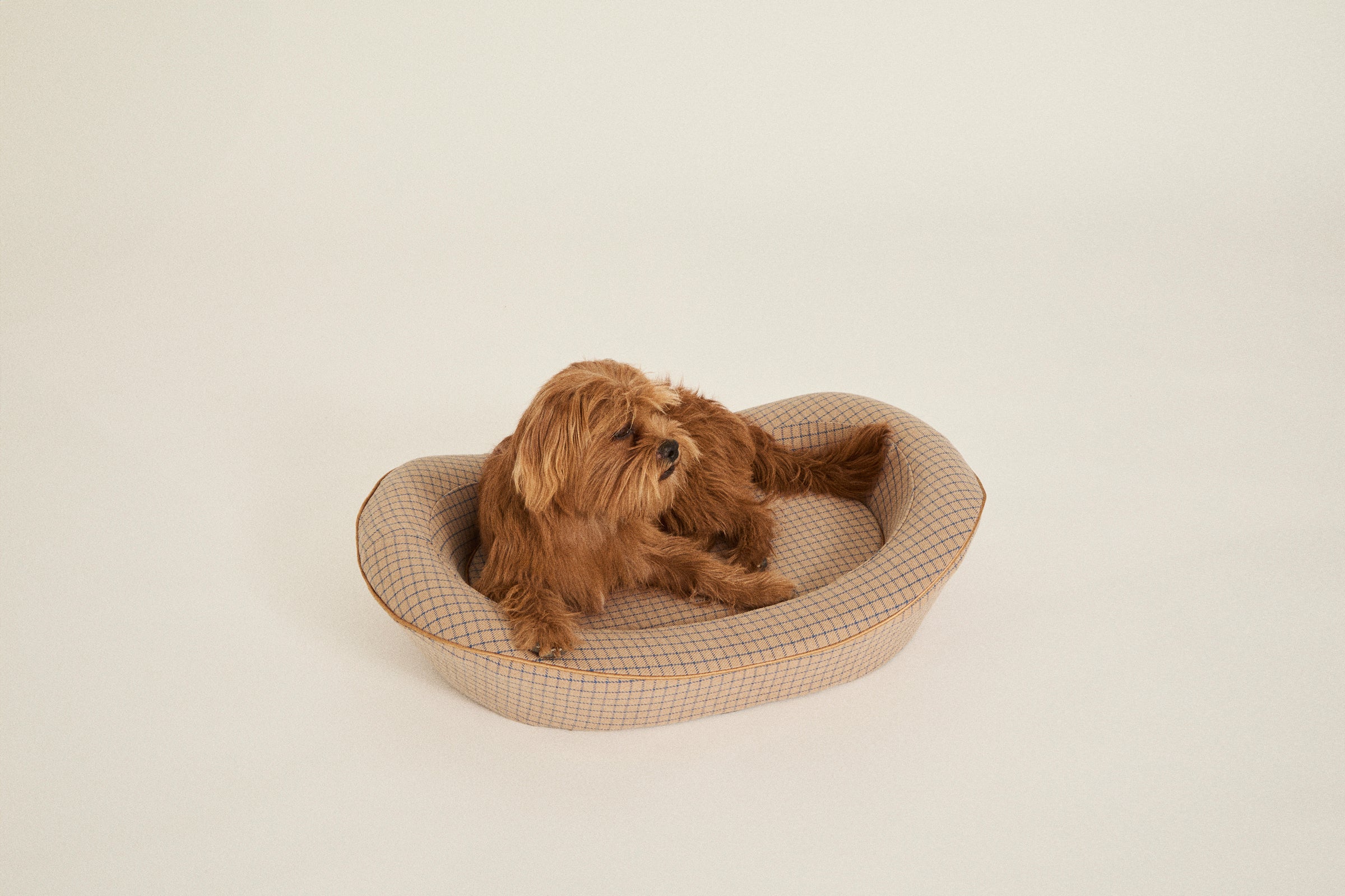 Small Brown Luxury Dog Bed with a brown dog laying in it