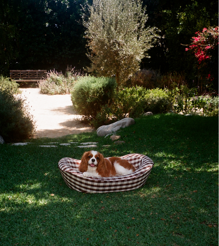 Small Spaniel in a brown check Luxury Dog Bed