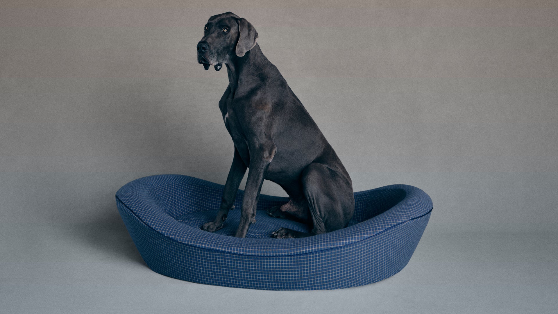 Blue Check Dog Bed Extra Large
