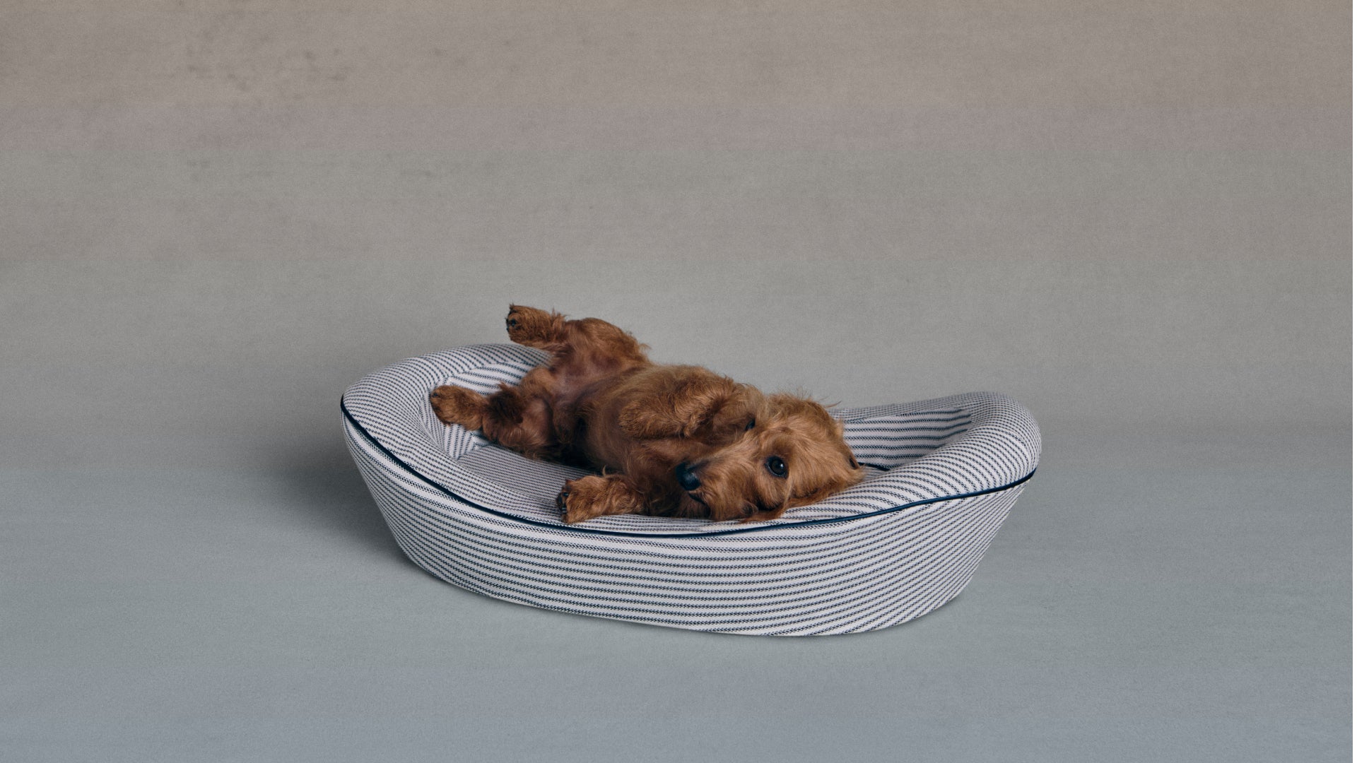 Blue Ticking Stripe Dog Bed Small