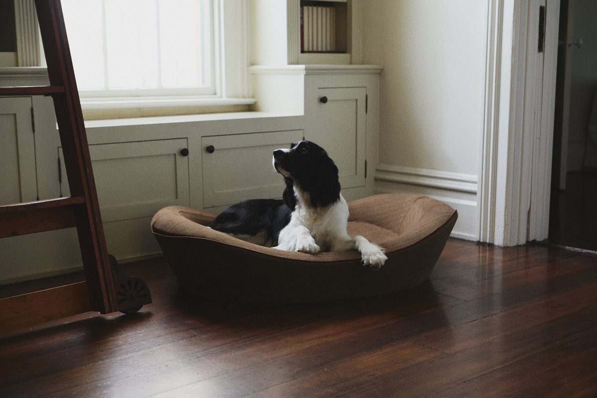 Stylish dog bed in Herringbone with Spaniel