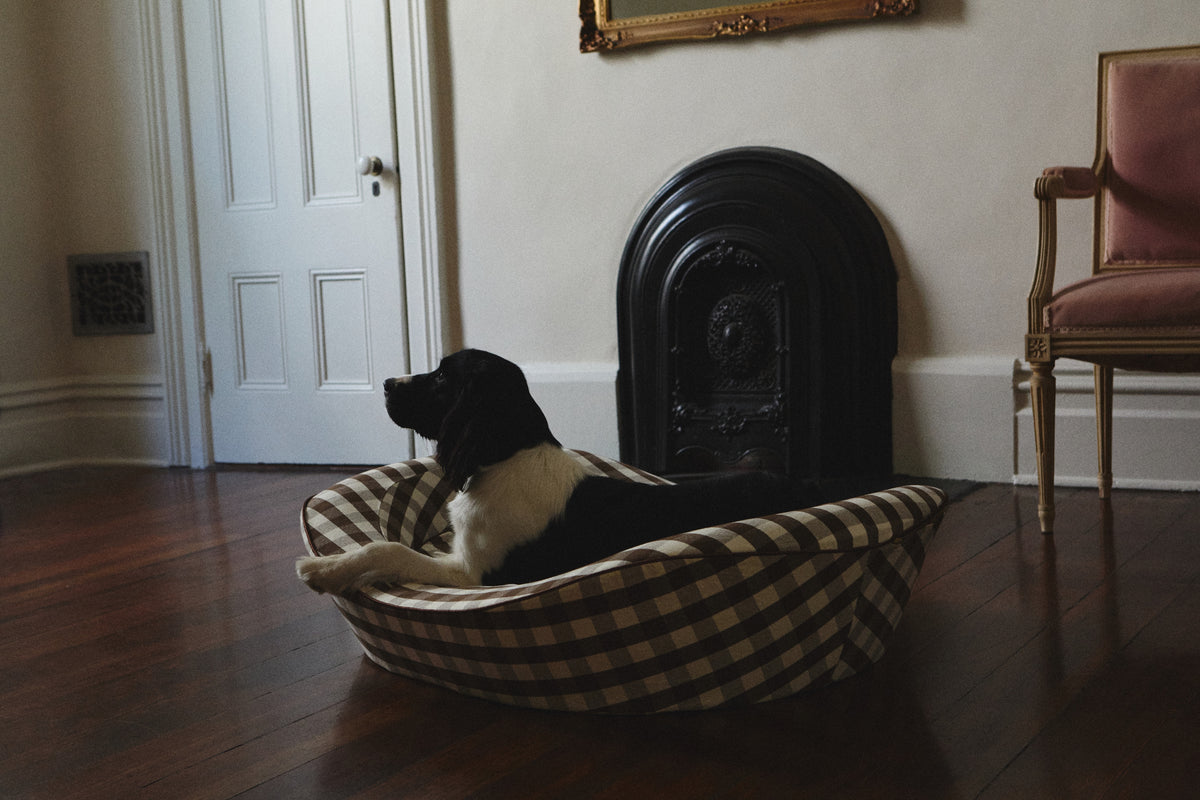 Brown check luxury dog bed with dog in a chic room