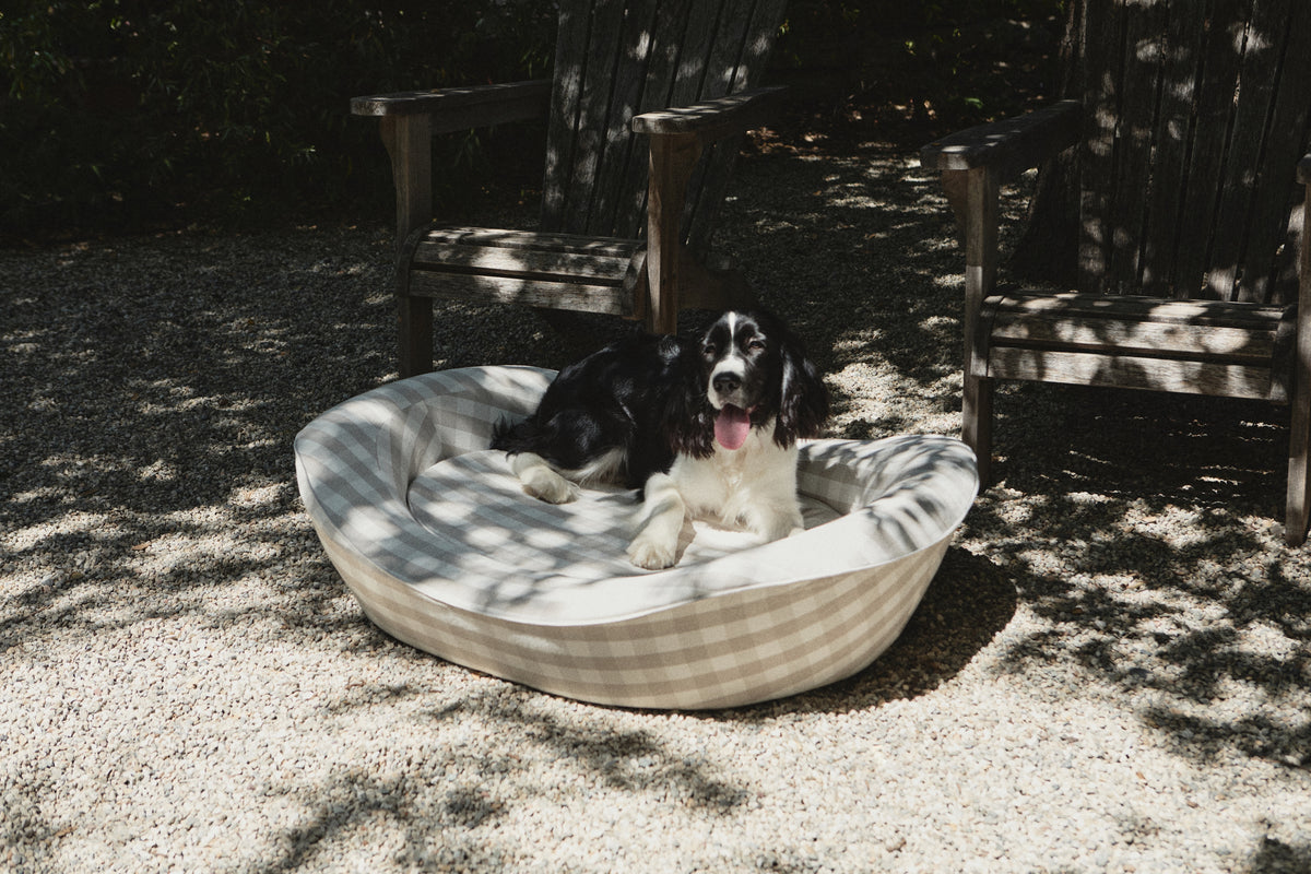 Stylish grey gingham dog bed with a Spaniel