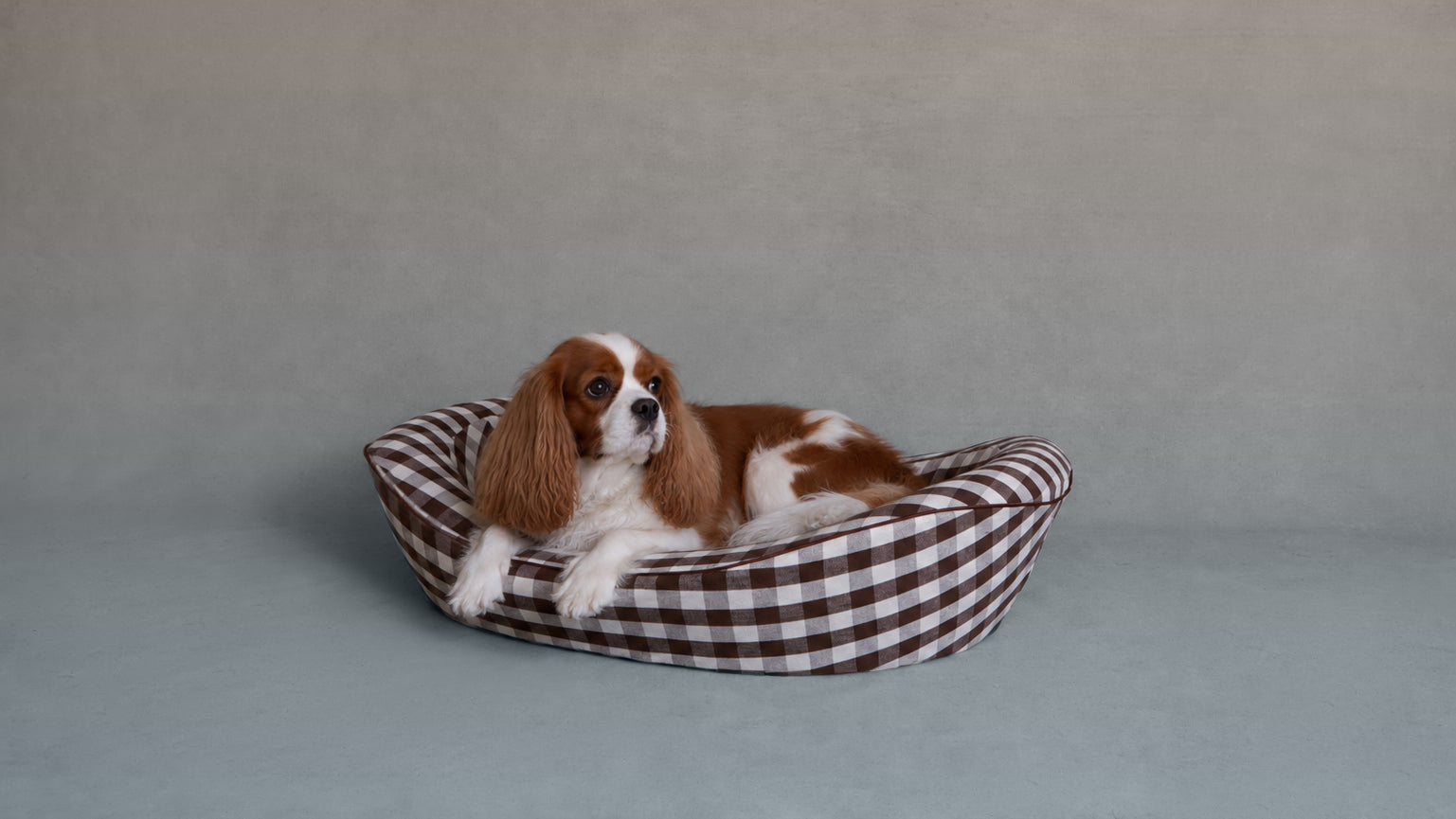 Fallen Conken Gingham Chocolate Dog Bed with Small Spaniel 