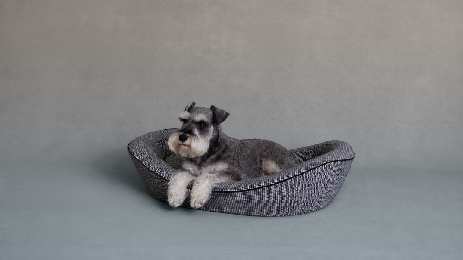 Houndstooth Dog Bed Small 