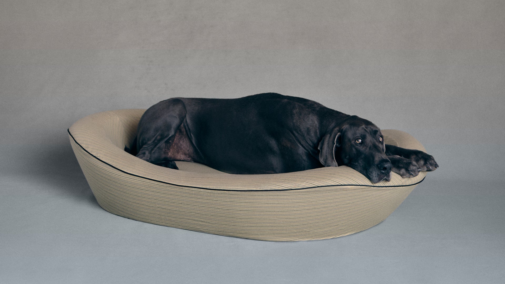 Grey Stripe Dog Bed Extra Large