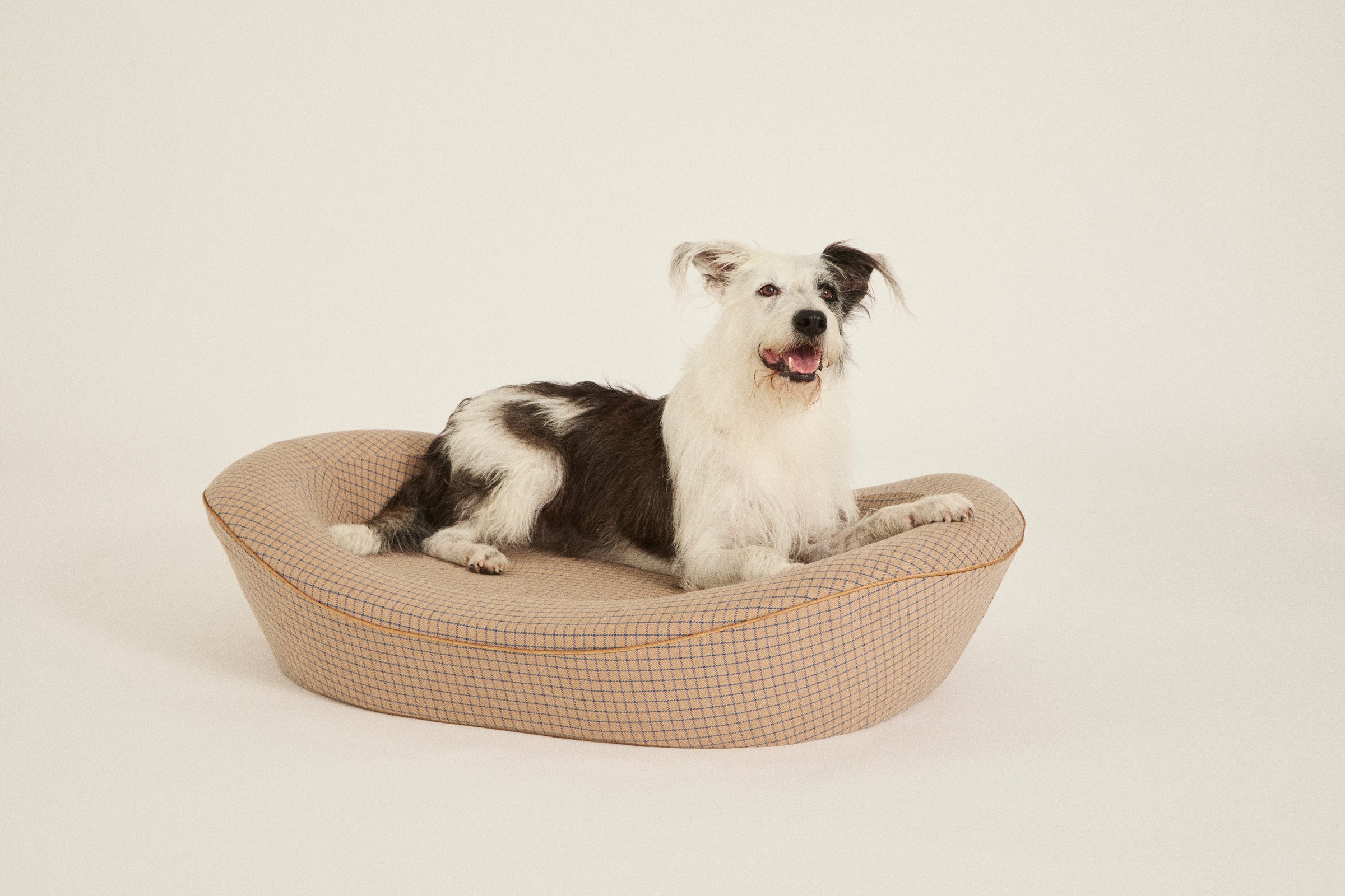 Brown Large Dog Bed