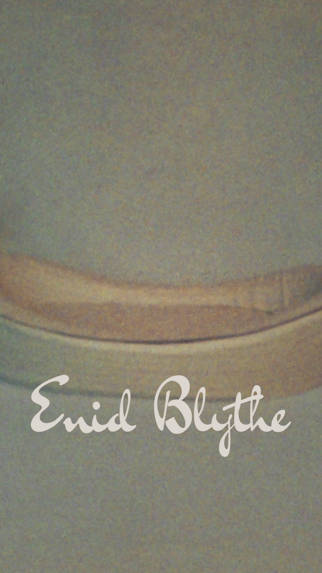 A video of dogs resting and playing in Enid Blythe luxury dog beds in a studio setting